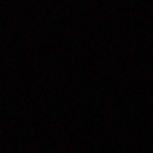 Meet your Posher, Raul